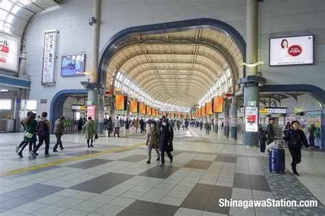 千葉駅 ご飯 ひとり ～孤独とグルメの交差点～