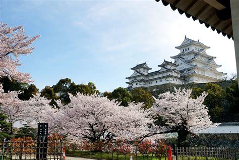 兵庫県 紅葉 穴場：秋の秘密の楽園を探して