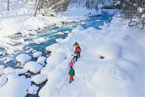 札幌 子連れ 観光：雪と笑顔が織りなす家族の冒険