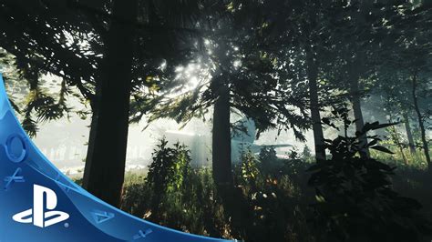 The Forest A Chilling Survival Horror With Stunning Open World Exploration!